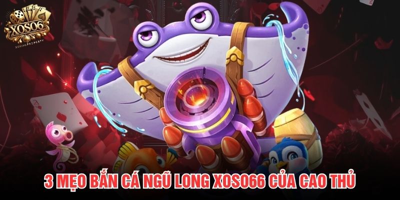 3 mẹo bắn cá Ngũ Long Xoso66 của cao thủ