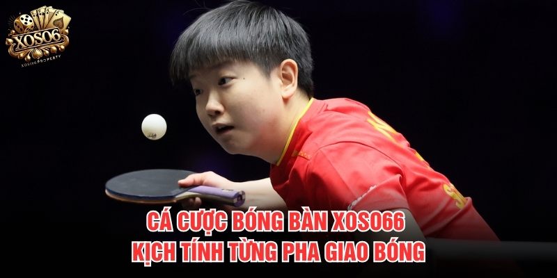 Cá cược bóng bàn Xoso66