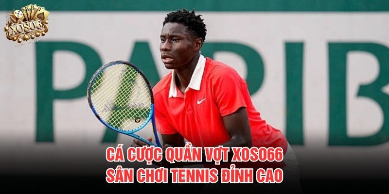 Cá cược quần vợt Xoso66