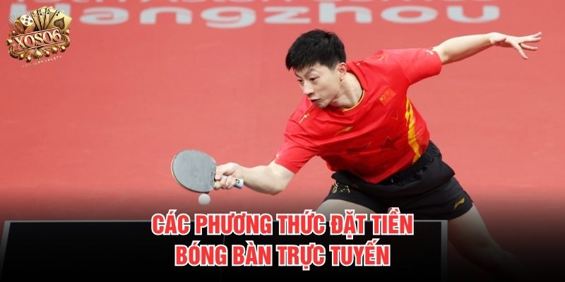 Các phương thức đặt tiền bóng bàn trực tuyến