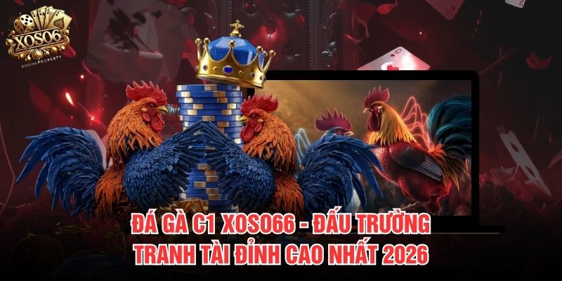Đá gà C1 Xoso66