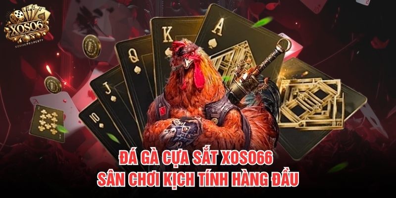 Đá gà cựa sắt Xoso66
