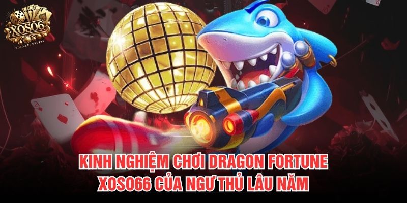 Kinh nghiệm chơi Dragon Fortune Xoso66 của ngư thủ lâu năm