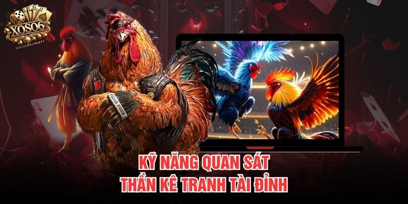 Kỹ năng quan sát thần kê tranh tài đỉnh