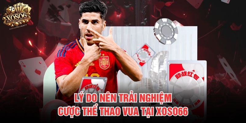 Lý do nên trải nghiệm cược thể thao vua tại Xoso66