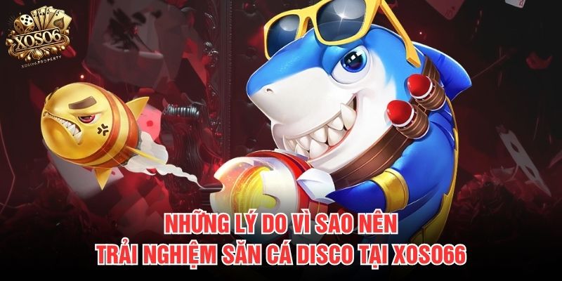 Những lý do vì sao nên trải nghiệm săn cá Disco tại Xoso66