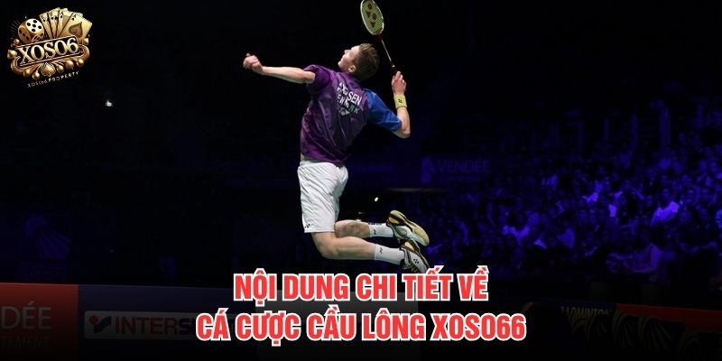 Nội dung chi tiết về cá cược cầu lông Xoso66