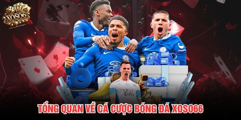 Tổng quan về cá cược bóng đá Xoso66