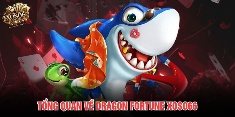 Tổng quan về Dragon Fortune Xoso66