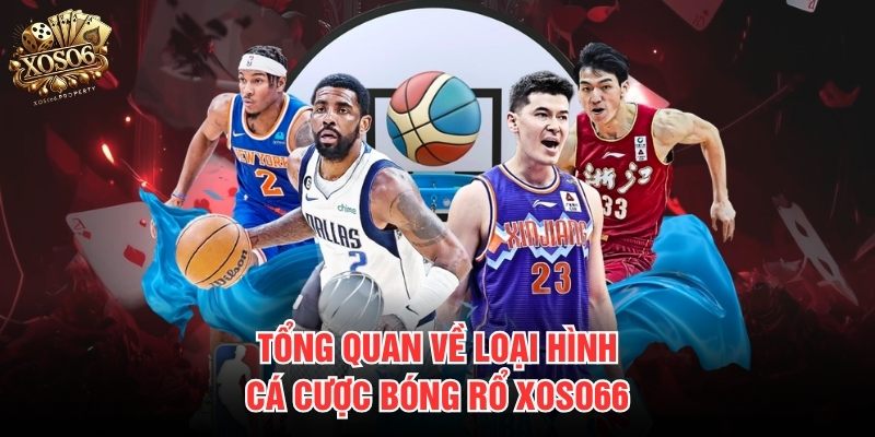 Tổng quan về loại hình cá cược bóng rổ Xoso66